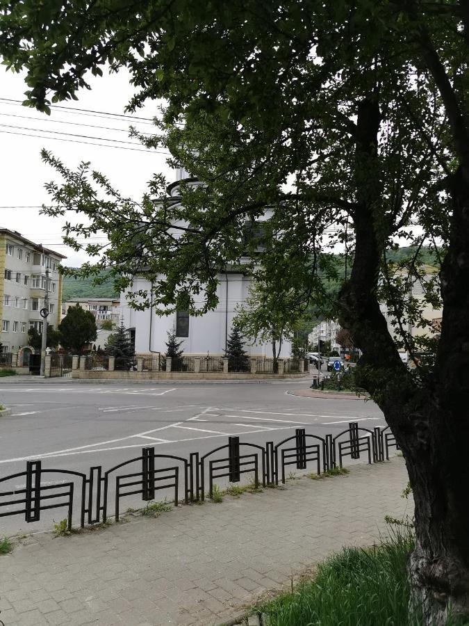 Apartament Asr เปียตราเนียมซ์ ภายนอก รูปภาพ